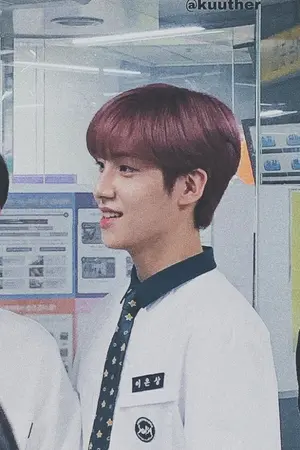 ปกนิยาย • เสือแมว • [PRODUCE X 101 X YOU]