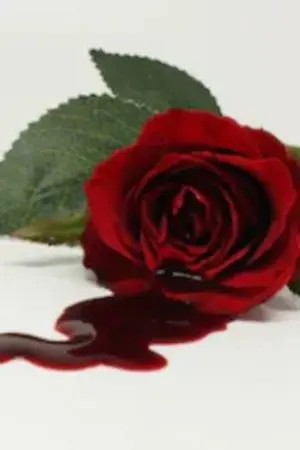 ปกนิยาย ความรักสีเทา{carl x eil}​>identity v<