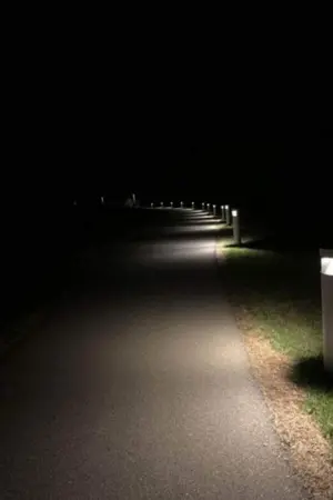 ปกนิยาย The cases of amber st.   คำสั่งเสียสุดท้ายจากริมถนน