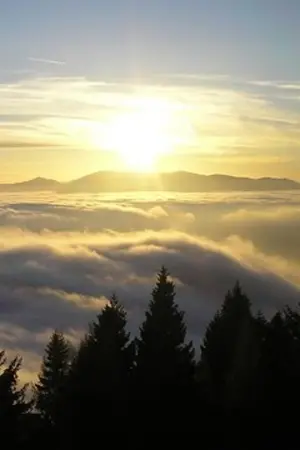 ปกนิยาย เกิดใหม่ทั้งทีขอเทพหน่อยละกัน