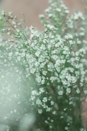 ปกนิยาย A flower story : เพราะเธอคือความรักของผม