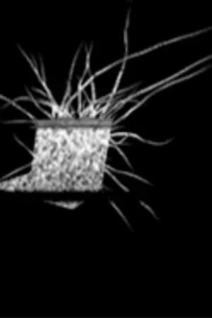 ปกนิยาย DOGBLOOD : Kill the Noise