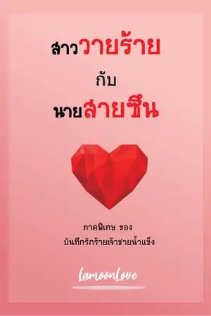 ปกนิยาย สาววายร้ายกับนายสายซึน