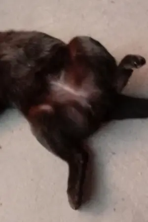 ปกนิยาย โลกแห่งจินตนาการ1