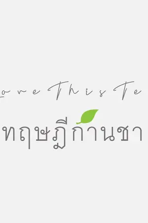 ปกนิยาย ทฤษฎีก้านชา