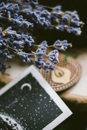 ปกนิยาย tokyo revengers | magic girl.