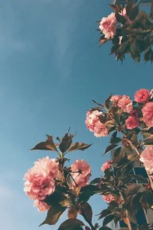 ปกนิยาย Attention - #ป๋อจ้าน #อี้จ้าน (Mpreg)