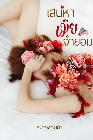 ปกนิยาย