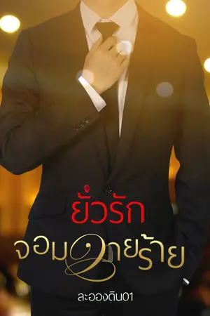 ปกนิยาย