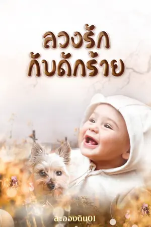 ปกนิยาย