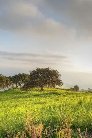 ปกนิยาย ชีวิตใหม่ครั้งนี้ ขออยู่เงียบๆไม่ได้หรอ