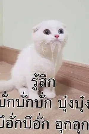 ปกนิยาย ชีวิตใหม่กับการเกิดใหม่เป็นตัวร้าย หวังว่าจะปลอดภัยนะครับ