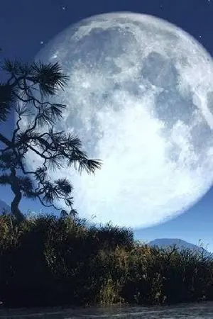 ปกนิยาย My small World in the survival game