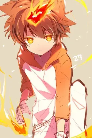 ปกนิยาย TsunaXMy hero academia