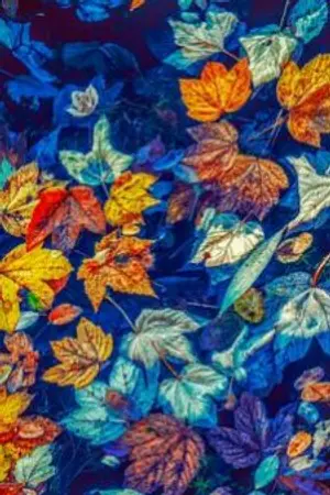 ปกนิยาย  " Destiny of the two of us " ลิขิตรักของเราสองคน