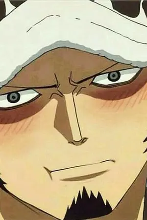 ปกนิยาย [ One Piece ]Doctors...(oc x law)