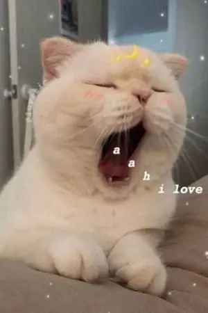 ปกนิยาย #เจ้าของพลูโต