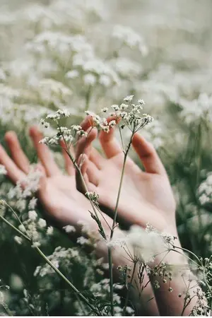 ปกนิยาย [TMR/PP(Peter parker/peverell)] อะไรนะ! ผมมาโผล่ในโลกของแฮร์รี่ พอตเตอร์?!