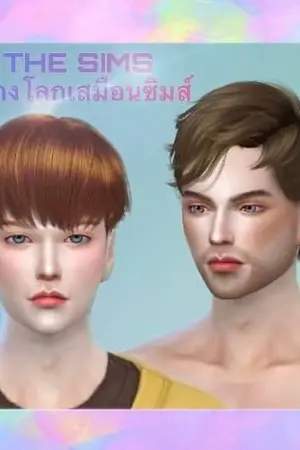 ปกนิยาย THE SIMS สร้างโลกเสมือนซิมส์