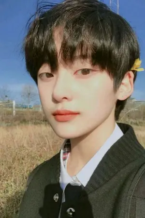 ปกนิยาย หลางอวี้หลิน เกอข้ามยุค