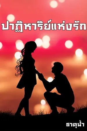 ปกนิยาย