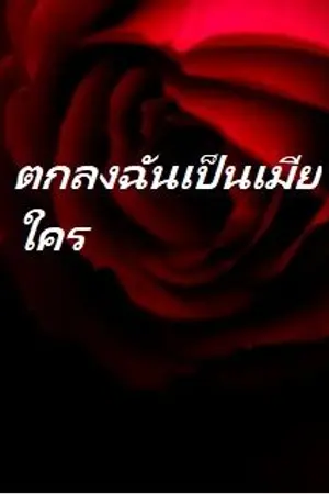 ปกนิยาย ตกลงฉันเป็นเมียใคร