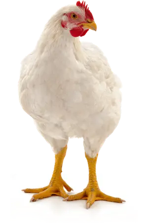 ปกนิยาย Arc test