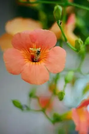 ปกนิยาย ความเจ็บปวดจาก'รักของฉัน'