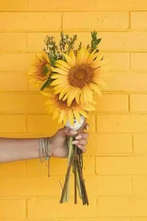 ปกนิยาย sunflower #ทูพัค ft. ผองเพื่อน