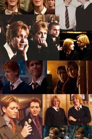 ปกนิยาย Weasley twins x Reader one short