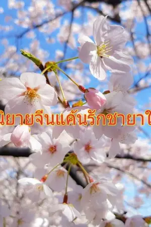 ปกนิยาย แค้นรักชายาใบ้