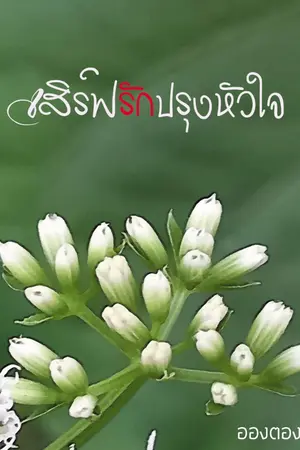 ปกนิยาย เสิร์ฟรักปรุงหัวใจ