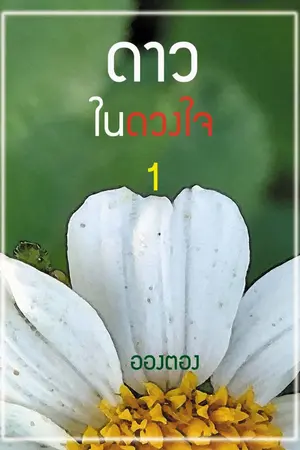 ปกนิยาย ดาว(ใน)ดวงใจ