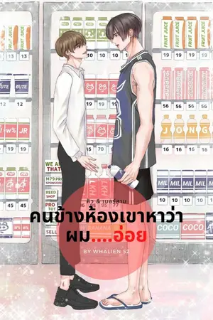 ปกนิยาย