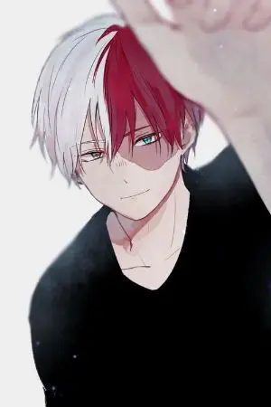 ปกนิยาย [Fic Boku no hero academia] because you are my important (todoroki x oc)