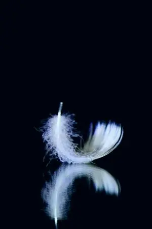 ปกนิยาย ชีวิตประจำวันของ ทูตสวรรค์กาเบรียล