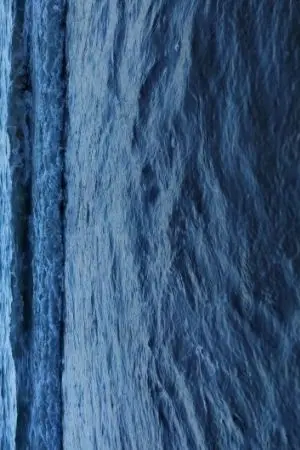 ปกนิยาย SIREN