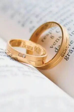 ปกนิยาย ผมกับนายมาเฟีย