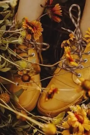 ปกนิยาย [END] [Fic Harry Potter] Sunshine,daisies,butter mellow [Cedric x OC]