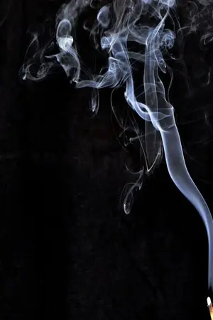 ปกนิยาย The Sixth Sense  สัมผัสสื่อวิญญาณ