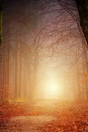 ปกนิยาย [Fic Mo Dao Zu Shi / ปรมาจารย์ลัทธิมาร] เรื่องเกิดใหม่ยังพอรับได้.....แต่ทำไมต้องหน้านี้!!!