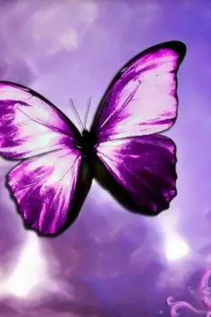 ปกนิยาย ผีเสื้อปีกหัก(Y)