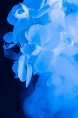 ปกนิยาย MyDream จบแล้ว