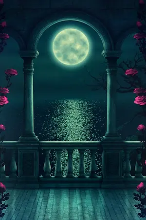 ปกนิยาย Selo-me เพราะฟากฟ้า...มีจันทราเพียงดวงเดียว