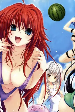 ปกนิยาย high school dxd:beyond of outerverse