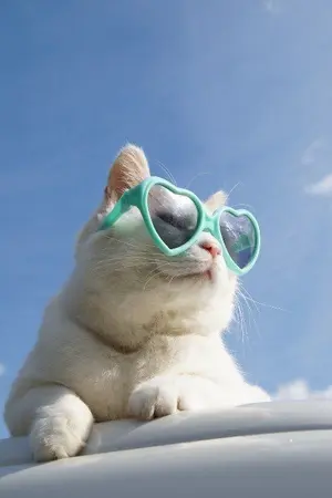 ปกนิยาย Call me doctor