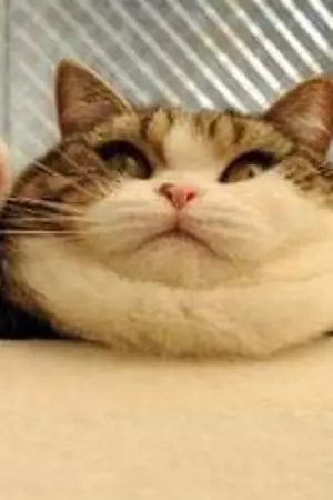 ปกนิยาย นายหน้าจืดน่ามึนน่ากิน