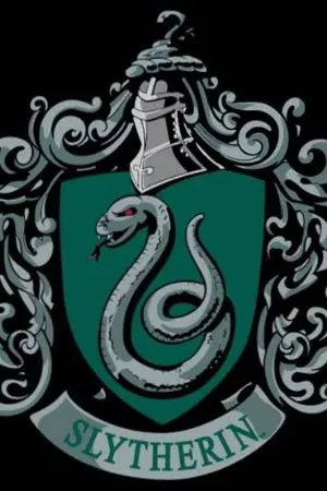 ปกนิยาย [FIC Harry Potter] Love is trust [DM/OC]