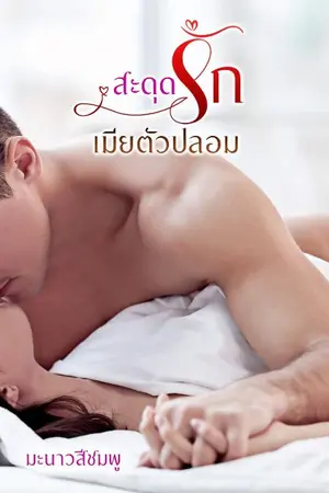 ปกนิยาย