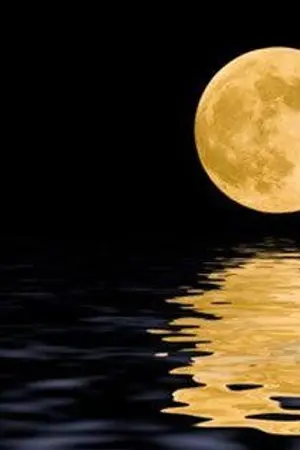 ปกนิยาย หมายจันทร์ (END)